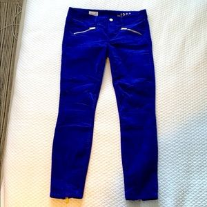 Gap blue velvet pants (new without tags)
